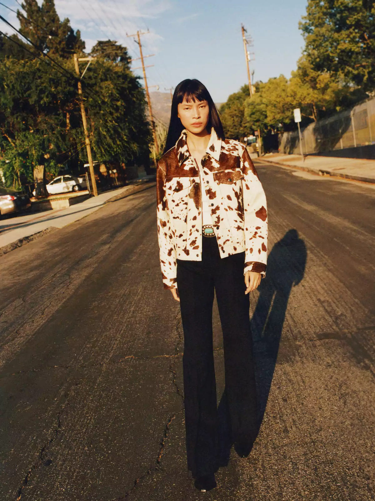 Lena | Women's Western Animal Print Cropped Trucker Jacket